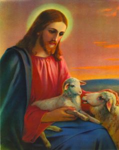 print shepherd