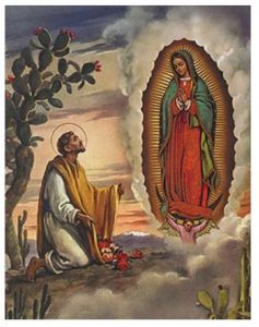 print Juan Diego Guadalupe